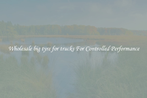 Wholesale big tyre for trucks For Controlled Performance
