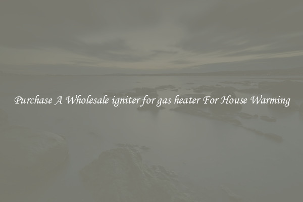 Purchase A Wholesale igniter for gas heater For House Warming