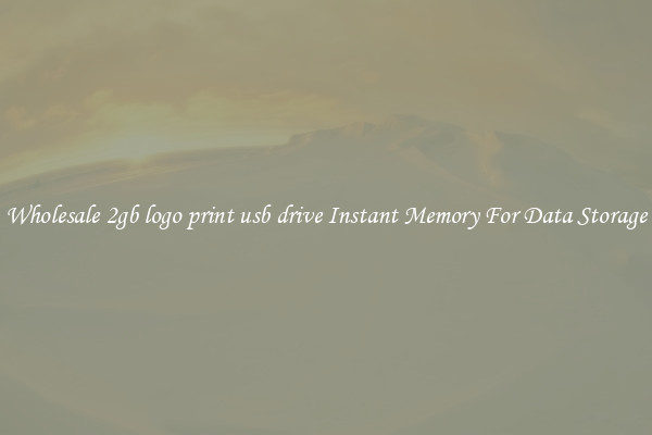 Wholesale 2gb logo print usb drive Instant Memory For Data Storage