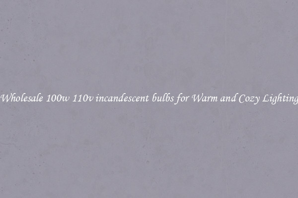 Wholesale 100w 110v incandescent bulbs for Warm and Cozy Lighting