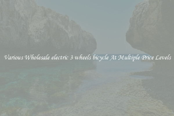 Various Wholesale electric 3 wheels bicycle At Multiple Price Levels