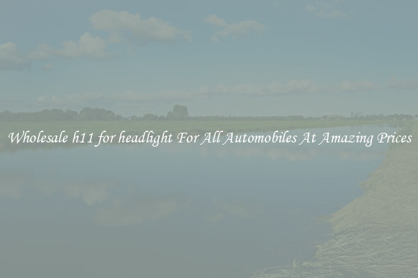 Wholesale h11 for headlight For All Automobiles At Amazing Prices