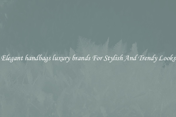 Elegant handbags luxury brands For Stylish And Trendy Looks