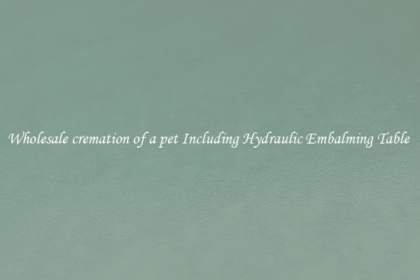 Wholesale cremation of a pet Including Hydraulic Embalming Table 