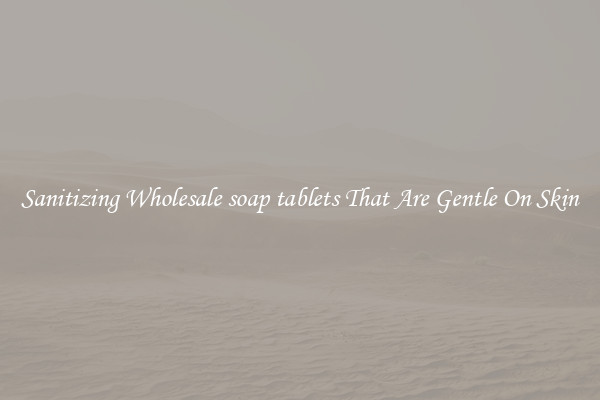 Sanitizing Wholesale soap tablets That Are Gentle On Skin
