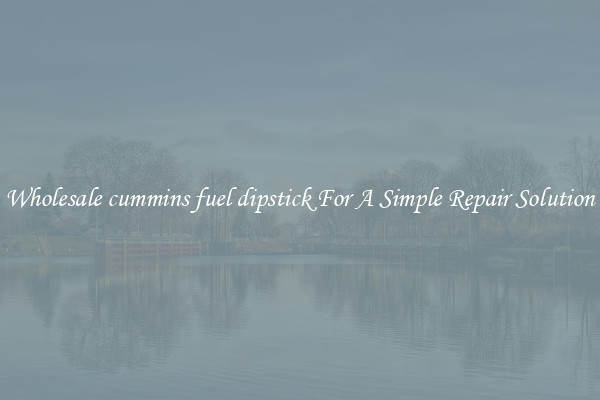 Wholesale cummins fuel dipstick For A Simple Repair Solution
