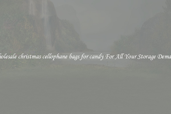 Wholesale christmas cellophane bags for candy For All Your Storage Demands