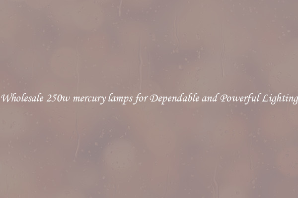 Wholesale 250w mercury lamps for Dependable and Powerful Lighting