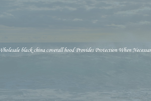 Wholesale black china coverall hood Provides Protection When Necessary