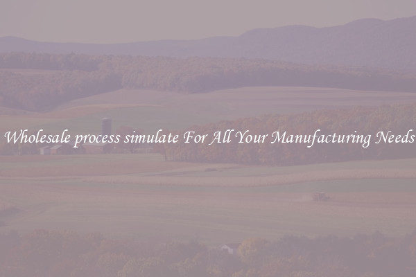 Wholesale process simulate For All Your Manufacturing Needs