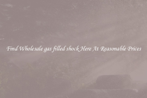 Find Wholesale gas filled shock Here At Reasonable Prices