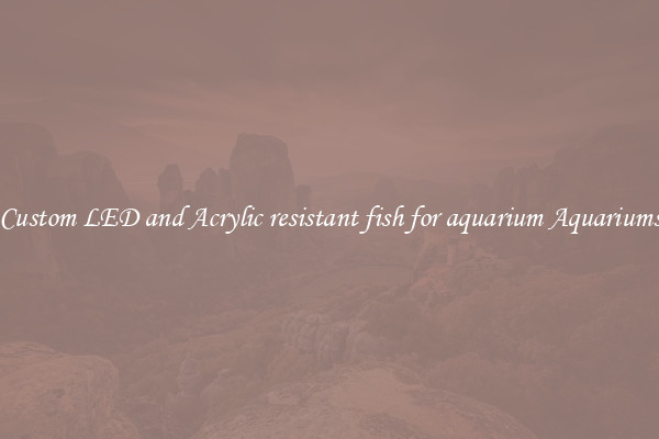 Custom LED and Acrylic resistant fish for aquarium Aquariums