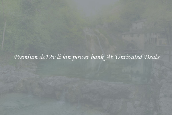 Premium dc12v li ion power bank At Unrivaled Deals