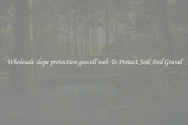 Wholesale slope protection geocell web To Protect Soil And Gravel
