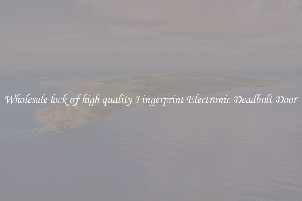 Wholesale lock of high quality Fingerprint Electronic Deadbolt Door 