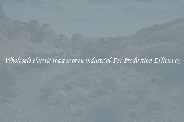 Wholesale electric roaster oven industrial For Production Efficiency