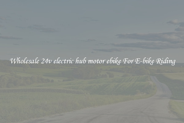 Wholesale 24v electric hub motor ebike For E-bike Riding