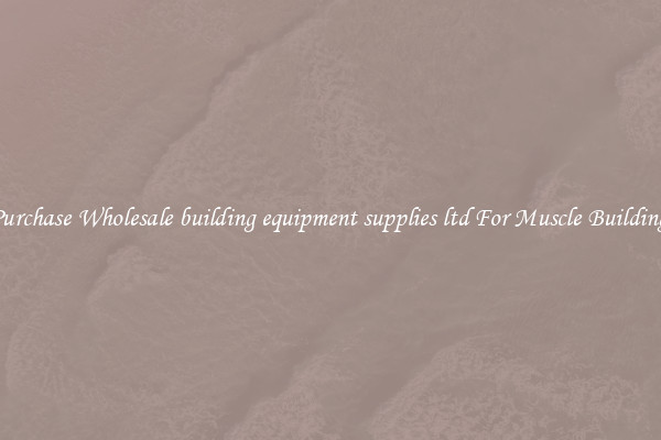 Purchase Wholesale building equipment supplies ltd For Muscle Building.