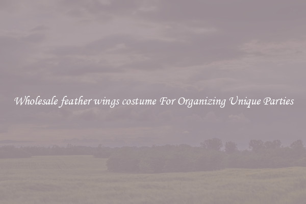 Wholesale feather wings costume For Organizing Unique Parties